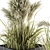 Pampas Bush Set - Outdoor Beauty 3D model small image 3