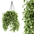 Green Haven: Indoor Hanging Plant Set 3D model small image 1