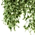 Green Haven: Indoor Hanging Plant Set 3D model small image 3