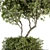 Nature's Oasis: Outdoor Tree Set 3D model small image 2