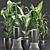 Tropical Plant Trio: Banana, Palm, Alocasia 3D model small image 2