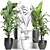 Tropical Plant Trio: Banana, Palm, Alocasia 3D model small image 3