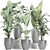 Tropical Plant Trio: Banana, Palm, Alocasia 3D model small image 4