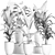 Tropical Plant Trio: Banana, Palm, Alocasia 3D model small image 5