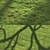 Scattered Grass Board - 14 Patterns 3D model small image 2