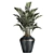 Tropical Plant Collection: Olive, Hovewa Palm, Metal Pot 3D model small image 2