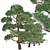 Scots Pine Trees (2-Pack) 3D model small image 3