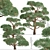 Scots Pine Trees (2-Pack) 3D model small image 4