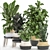 Tropical Plant Collection: Ficus, Strelitzia, Banana Palm 3D model small image 1
