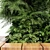 Slim Hinoki Cypress Tree - Perfect for Small Yards 3D model small image 2