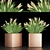 Elegant Plant Collection Vol. 121 3D model small image 1
