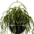 Indoor Oasis: Hanging Plant Set 3D model small image 3