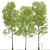 European Aspen Tree Set - Quaking Aspen, Populus Tremula 3D model small image 3