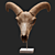 Eerie Goat Skull Décor 3D model small image 1