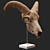 Eerie Goat Skull Décor 3D model small image 3