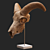 Eerie Goat Skull Décor 3D model small image 4