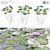 Nymphaeaceae Water Lily: Versatile Aquatic Perfection 3D model small image 1