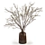 Elegant Twig Arrangement in Vase 3D model small image 2