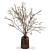 Elegant Twig Arrangement in Vase 3D model small image 3