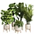 Elegant Wood Vase Collection: 30 Indoor Plants 3D model small image 1