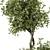 192 Indoor Plant Set - Tree in Pot 3D model small image 2