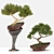 Bonsai03: Miniature Zen Garden 3D model small image 1