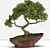 Bonsai03: Miniature Zen Garden 3D model small image 2