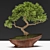 Bonsai03: Miniature Zen Garden 3D model small image 5