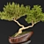 Bonsai03: Miniature Zen Garden 3D model small image 6