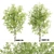 Dual Ashes: High-Poly Tree Bundle 3D model small image 1