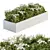 Beautiful White Flower Bush Set 3D model small image 1