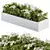 Beautiful White Flower Bush Set 3D model small image 2