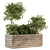 Nature's Haven Outdoor Plant Set 3D model small image 1