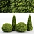 Golden Globe Dwarf Thuja: Evergreen Shrubs for Stunning Landscapes 3D model small image 1