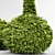 Golden Globe Dwarf Thuja: Evergreen Shrubs for Stunning Landscapes 3D model small image 3