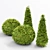 Golden Globe Dwarf Thuja: Evergreen Shrubs for Stunning Landscapes 3D model small image 4