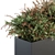 166-Piece Outdoor Plant Set: Plant Box Bush 3D model small image 2