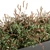 166-Piece Outdoor Plant Set: Plant Box Bush 3D model small image 4