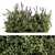 Blossom Bliss Lavender Set 3D model small image 1