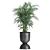 Tropical Oasis Plant Collection 3D model small image 4