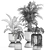 Tropical Oasis Plant Collection 3D model small image 5