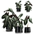 Exotic Tropical Plant Collection 3D model small image 1