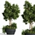 Outdoor Oasis Plant Set 3D model small image 1