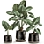 Exotic Tropical Plant Collection in Reclaimed Iron Pot 3D model small image 1