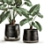 Exotic Tropical Plant Collection in Reclaimed Iron Pot 3D model small image 2