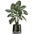 Exotic Tropical Plant Collection in Reclaimed Iron Pot 3D model small image 4