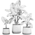 Exotic Tropical Plant Collection in Reclaimed Iron Pot 3D model small image 5