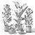 Tropical Plant Set: Sansevieria, Japanese Banana, Ficus, Pilea 3D model small image 4