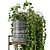 Rusty Concrete Pot Indoor Plants Set 3D model small image 3