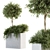 Green Oasis Outdoor Plant Set 3D model small image 2